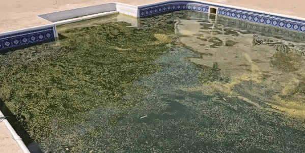 Best Pool Maintenance Services in Dubai, UAE Before Swimming Pool Cleaning