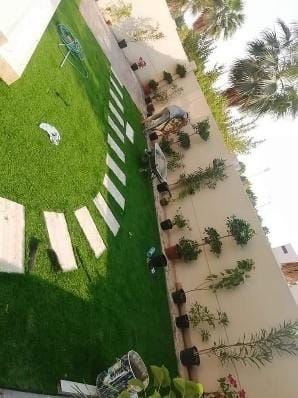 modern landscape garden