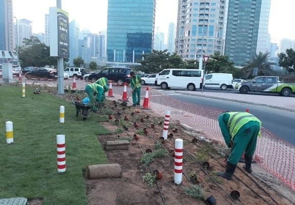 Commercial Landscaping Services