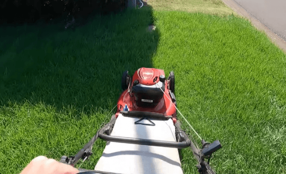 Best Garden Maintenance Services in Dubai – Fast Green Landscaping Gardening Maintenance Services
