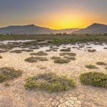 Dubai’s Hot Climate