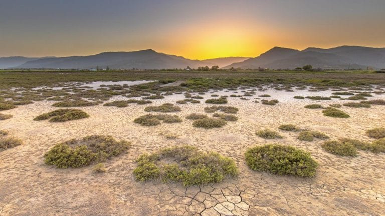 Dubai’s Hot Climate